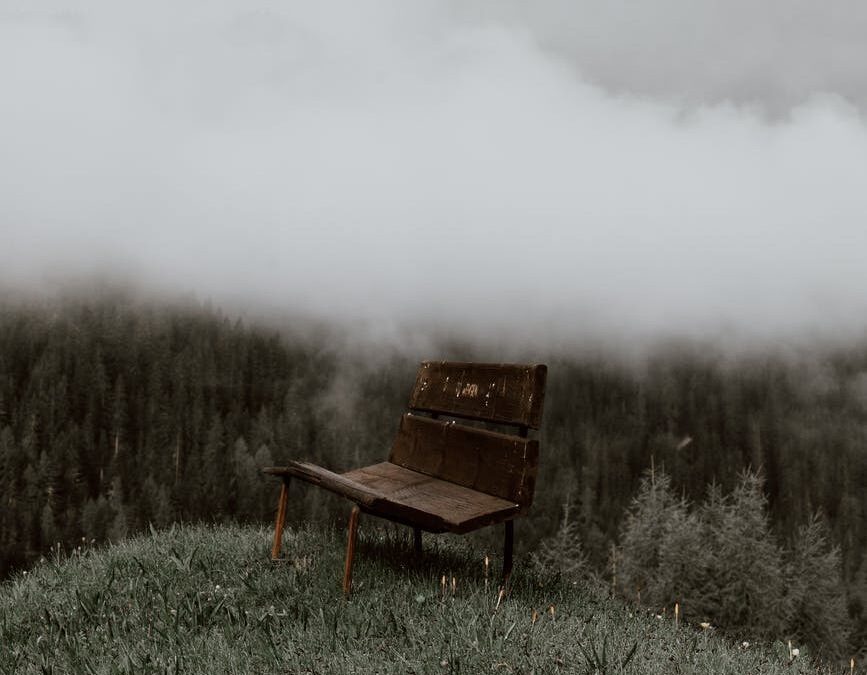 lonely bench on hill in woods